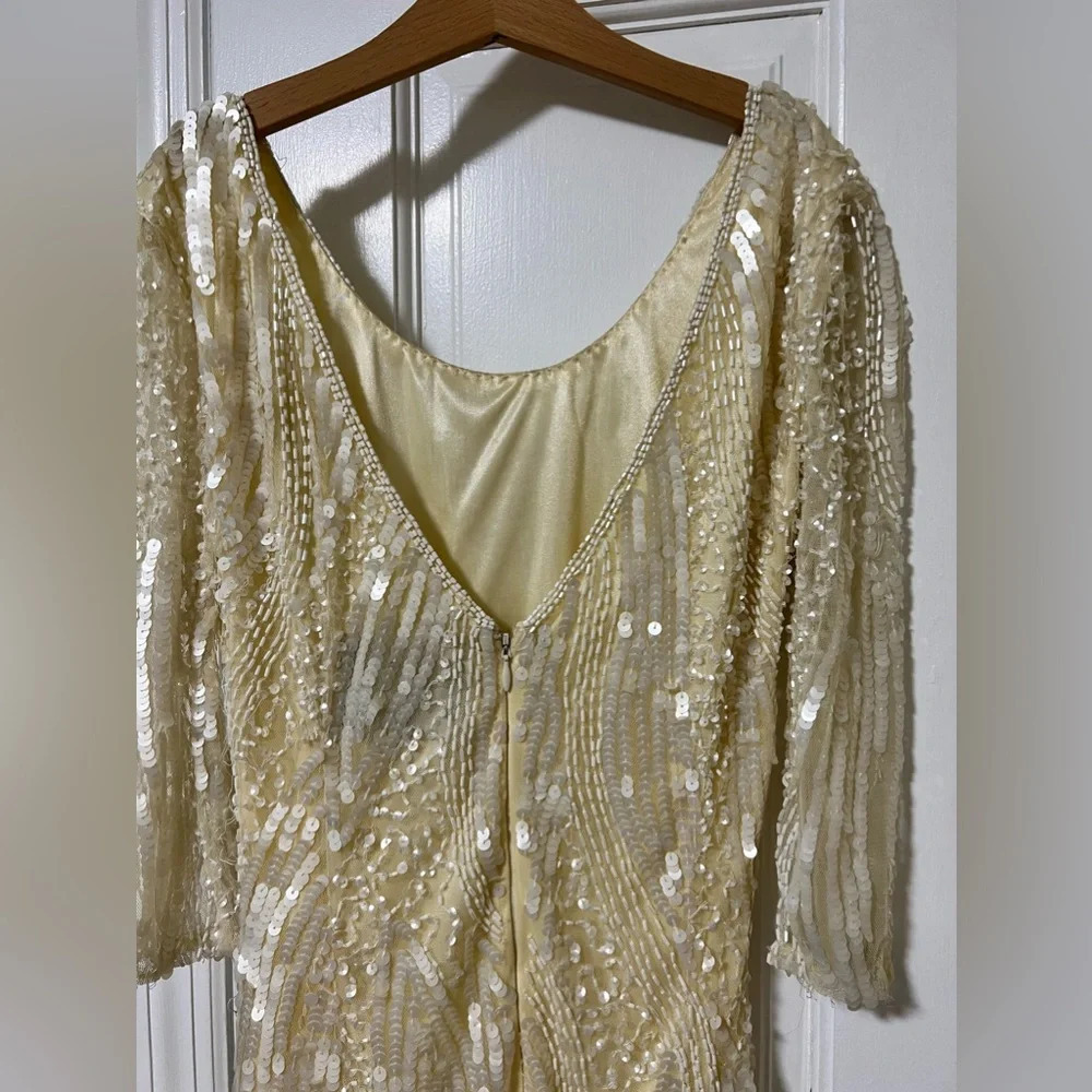 Sequin Lace Midi Dress Size 2 - Picture 8 of 15